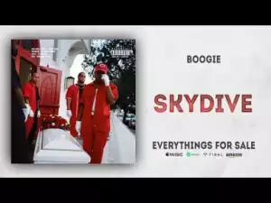 Boogie - Skydive